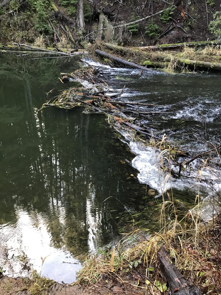 Round Lake State Park: A Minnesota Gem for Nature Lovers