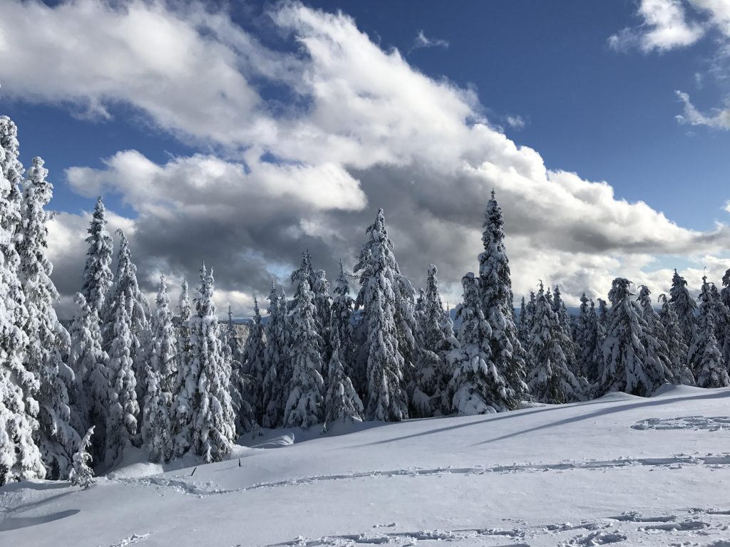 On first day of 2018 snowshoers treated to sun drenched views from Mount  Spokane