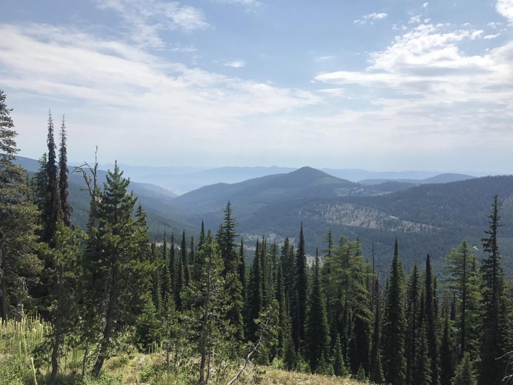 Myrtle Lake via Myrtle Peak – NaughtyHiker