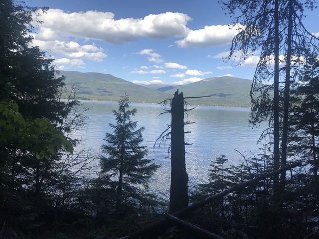 Priest Lake Woodrat And Beach Loop – Naughtyhiker